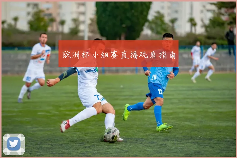 欧洲杯小组赛直播观看指南