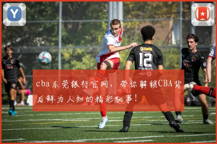 cba东莞银行官网，带你解锁CBA背后鲜为人知的精彩秘事！