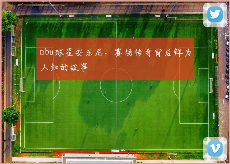 nba球星安东尼，赛场传奇背后鲜为人知的故事